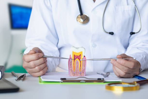 Urgent Tooth Repair in AL